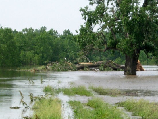 Recent flooding near St. Louis. - Missouri Department of Conservation