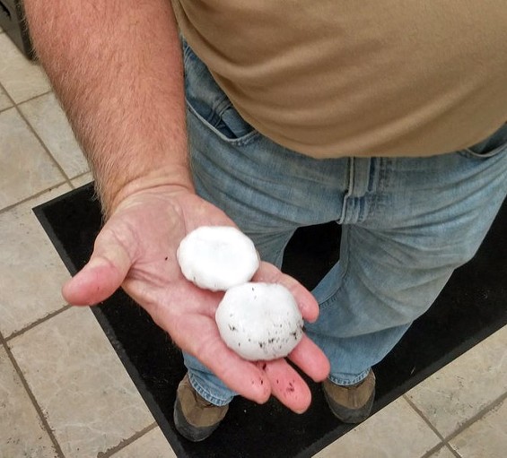 Property manager Rick Schmitt holds some of the biggest hail from this morning's storm. - CASSANDRA LANGLEY