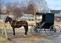 91-Year-Old Man Dies After Being Run Over by Amish Horse-Drawn Cart