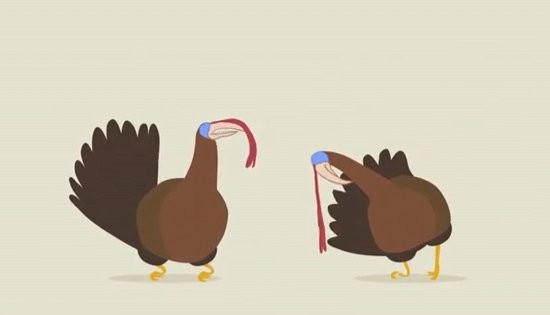 Turkey Dubstep and Larry David: Your 2012 Thanksgiving Video Dump