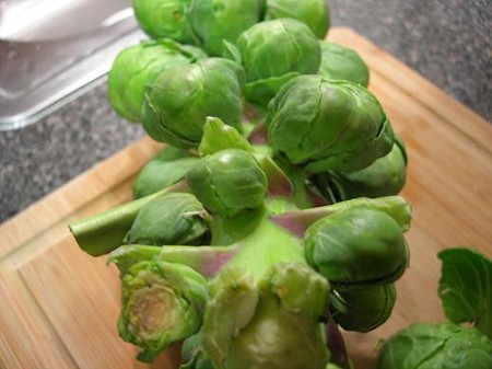 Farmers' Market Share: Brussels Sprouts, Battle Axes and Baby Sloths