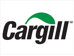 Cargill Recalls Ground Beef for Possible Salmonella Contamination