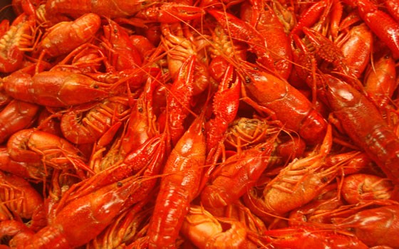 Broadway Oyster Bar is flying in over 1,000 of fresh Louisiana crawfish. | Food Group