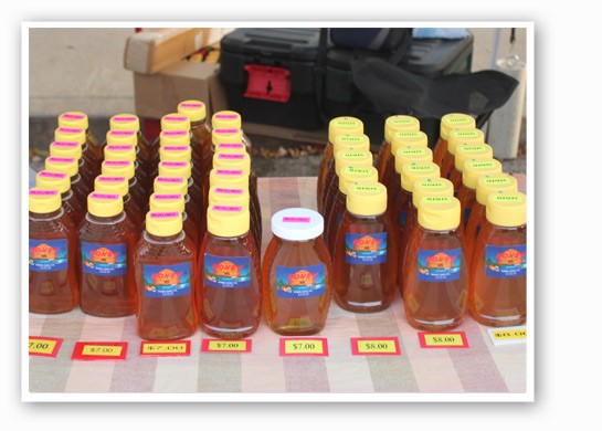 &nbsp;&nbsp;&nbsp;&nbsp;&nbsp;&nbsp;&nbsp;Robin's Honey Company displays its array of different varieties. | Cheryl Baehr