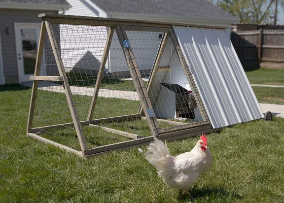 The Easy Chicken coop. | The Easy Chicken