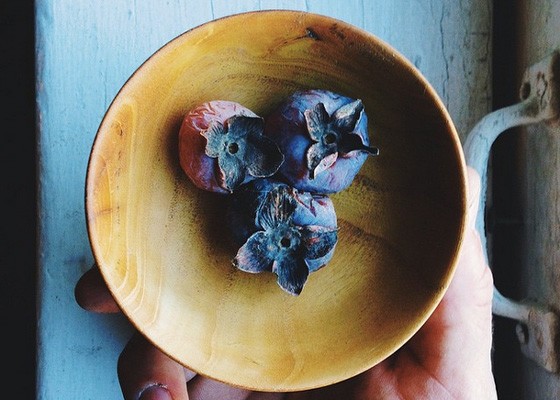 Persimmons from Yellowtree Farm. | Instagram/yellowtreefarm