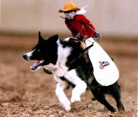 Whiplash the Cowboy Monkey left the glamorous world of food mascots to follow his real passion -- the rodeo. - Image via
