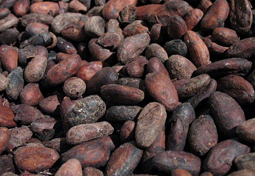 Roasted cacao - Uma Smith, Wikimedia Commons