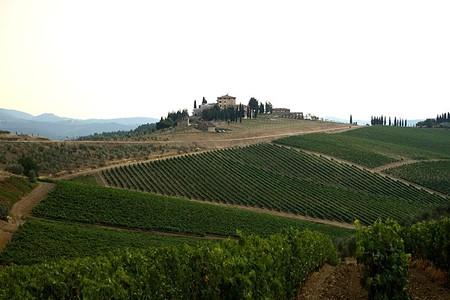 Vineyards in Tuscany, Italy - John Menard, Wikimedia Commons