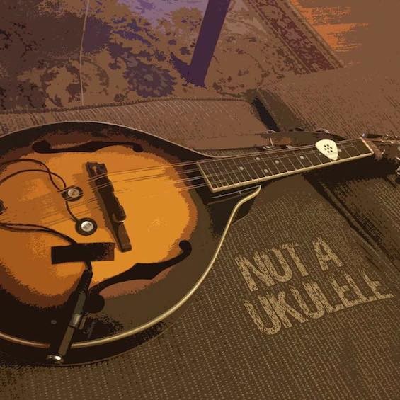 Don't call it a ukulele. - Bryan Ranney's "Not a Ukulele" tour page