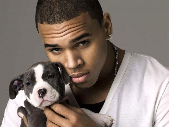 A misunderstood creature, often unfairly accused of violence. And then on the right, Chris Brown. - Press Photo
