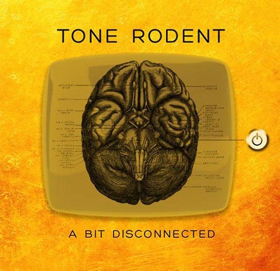 Tone Rodent's Latest, A Bit Disconnected: Read Our Homespun Review and Listen