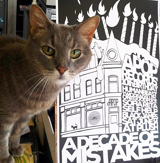 Store cat Beryl Apopkitty poses beside the poster for this weekend's show. - Tiffany Minx