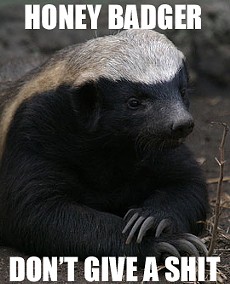 There Can Be Only One Honeybadger in St. Louis! A Vote to the Death [Update: We Have a Winner!]