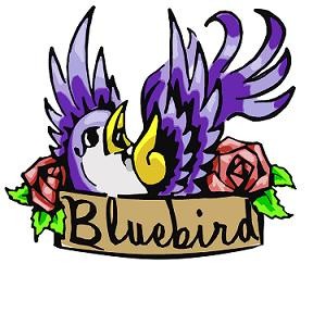 The Bluebird: All About St. Louis' New Club