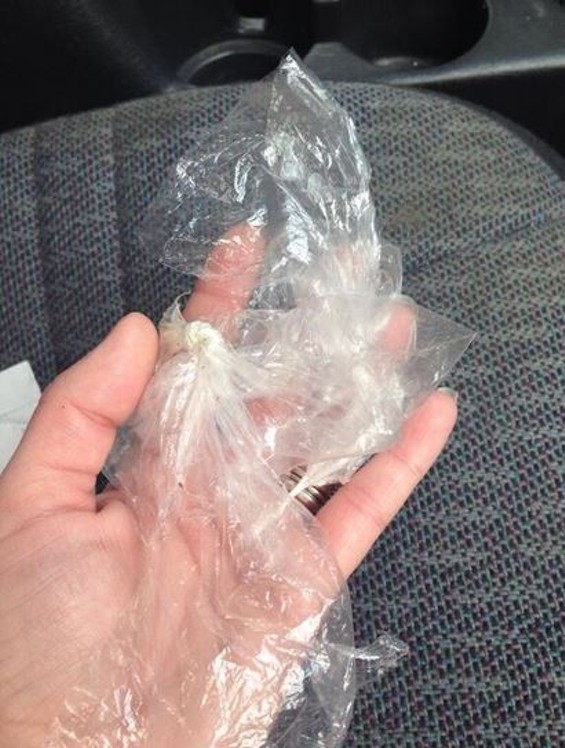 One of the knotted-and-torn plastic bags found by Wendy.