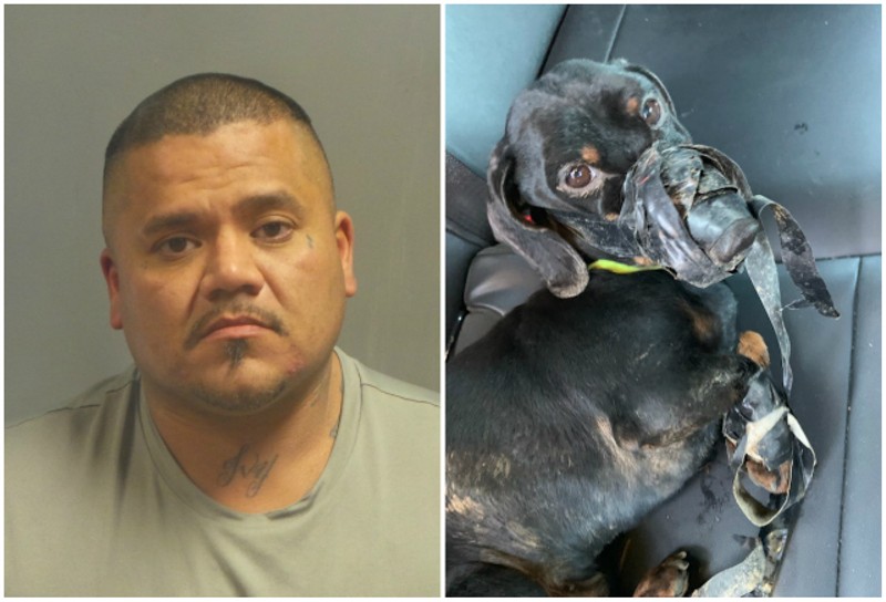 Paul Garcia bound a dog with duct tape and dumped it in a ditch, authorities say. - COURTESY JEFFERSON COUNTY SHERIFF