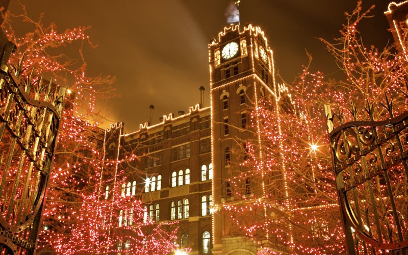 The Holiday Lights at the Anheuser-Busch Brewery — now through January 3.