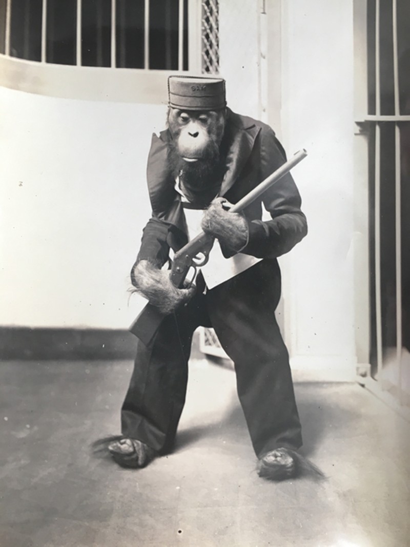 Vintage Photos of the Saint Louis Zoo Reveal How Much Has Changed (11)