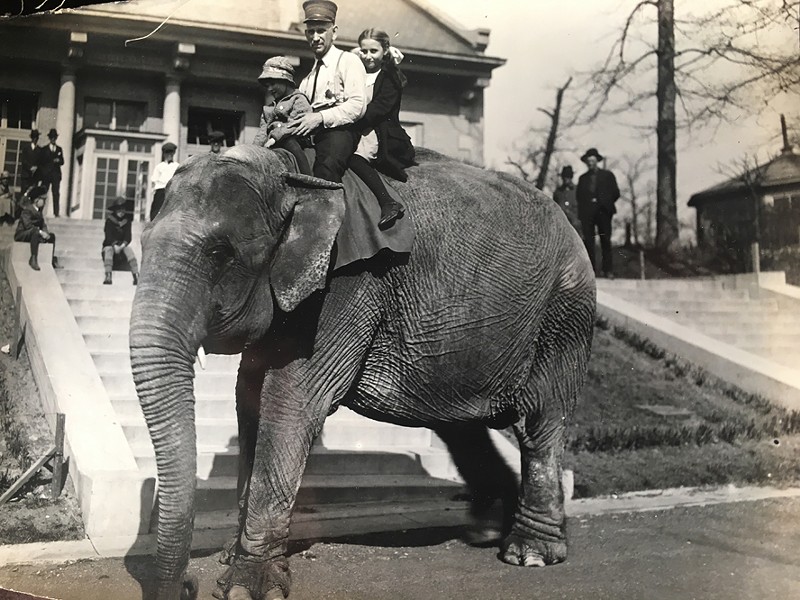 Vintage Photos of the Saint Louis Zoo Reveal How Much Has Changed (9)