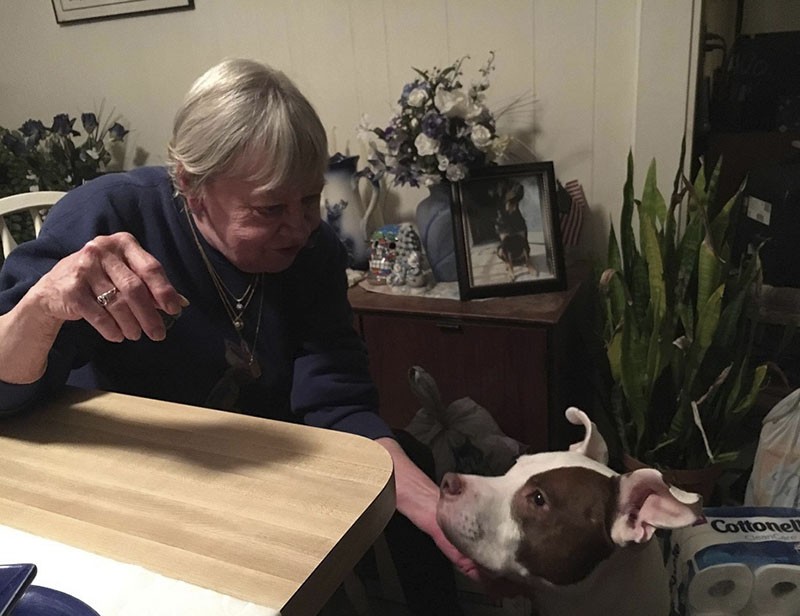 Dexter, Mandi Kay Sullivan's dog, now lives with her grandmother. - COURTESY OF MANDI KAY SULLIVAN