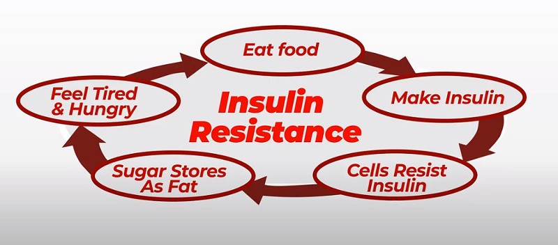 altai_balance_insulin_resistance.jpg