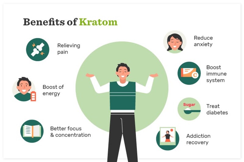 5 Best Kratom Vendors of 2022: Reliable Websites to Buy Quality Kratom Online (Kratom Vendors Near Me)