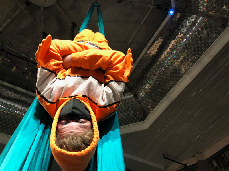 One student, donning a clownfish costume, performs in aerial silks before he becomes a sushi roll for his family's sushi recipe. - CIRCUS HARMONY
