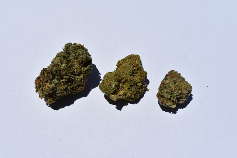 From left to right: Elroy, Cobalt Fire and Alaskan Purple buds purchased at 3Fifteen Primo. All three became contenders as new favorites. - THOMAS K. CHIMCHARDS