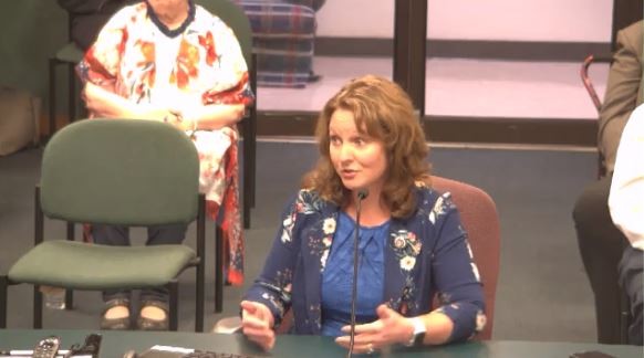 Rep. Ann Kelley goes full Mike Lindell during an August 24 meeting of the Missouri House Elections Committee. - SCREENSHOT