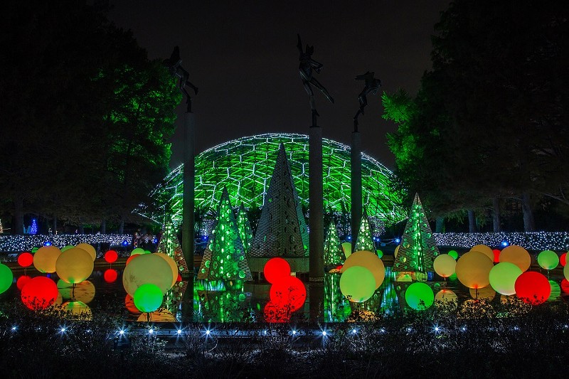 Garden Glow returns to make evenings merry and bright. - MARY LOU OLSON/MISSOURI BOTANICAL GARDEN