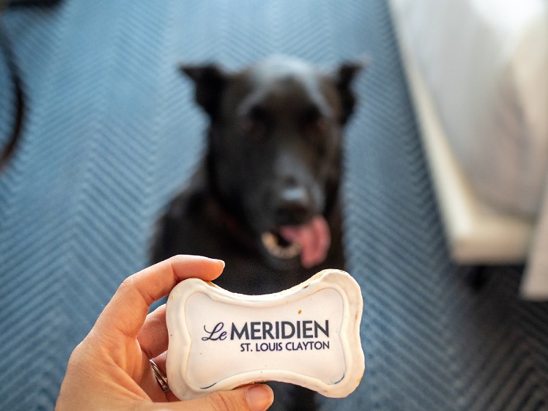 Spoil your pup for a night. - Courtesy Le Meridien St. Louis Clayton