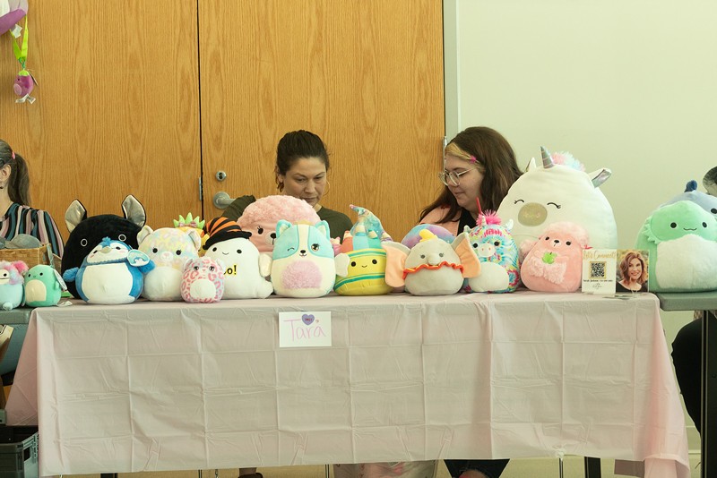 A Squishmallow gathering at the Fenton Parks and Recreation Center on February 12 - Madyson Dixon