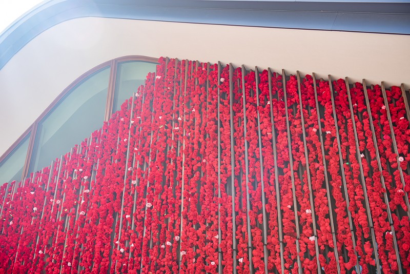 Ten thousand roses hanging from the Aronson Arts Center, all representing a life lost to COVID-19. - Vu Phong