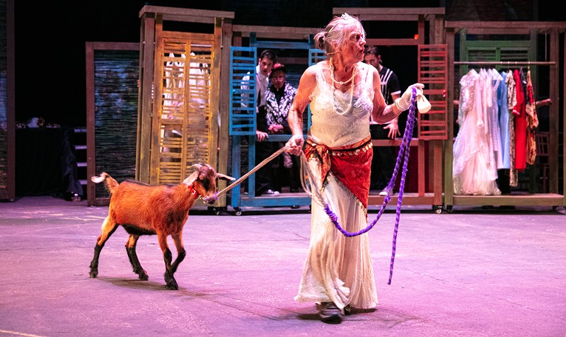 The production is staged as a Fellini-style circus that includes real, live animals including the goat that is pictured here.