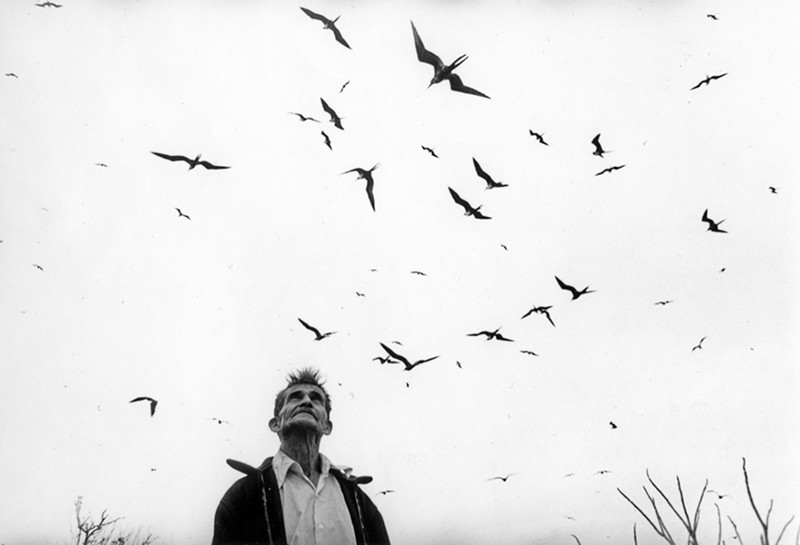 Black and white photograph of man and sky filled with birds.