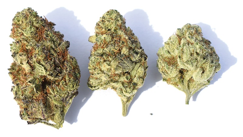 Gelato is one of the more celebrated cannabis strains. - TOMMY CHIMS