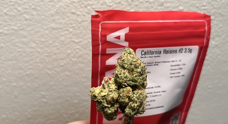 Robust Cannabis' California Raisins #2 came highly recommended on Reddit. - GRAHAM TOKER