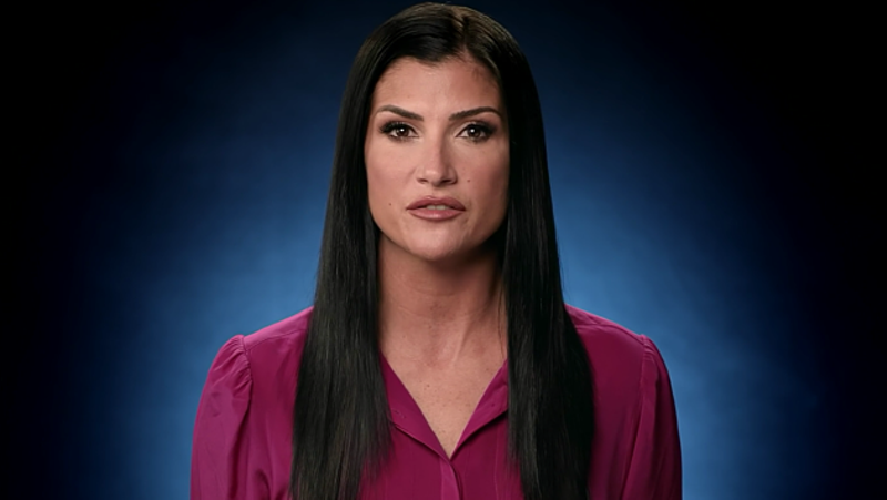Dana Loesch and the NRA Are Trying to Stoke a Civil War Again