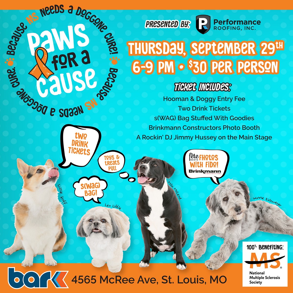 Paws for a Cause