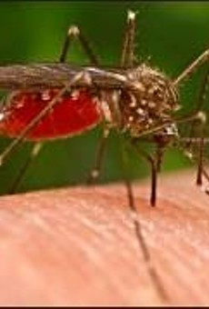 County Mosquitoes Test Positive for West Nile Virus