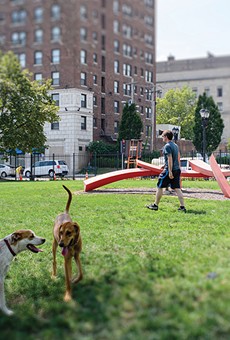 The Ellen Clark Sculpture Park has become a go-to spot for lovers of art and dogs.