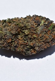 Heya's Runtz strain came primarily in the form of one enormous bud that comprised most of the eighth we purchased.
