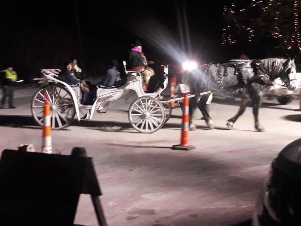 Cold Weather Cancels Horse Carriage Rides in St. Louis County [Update