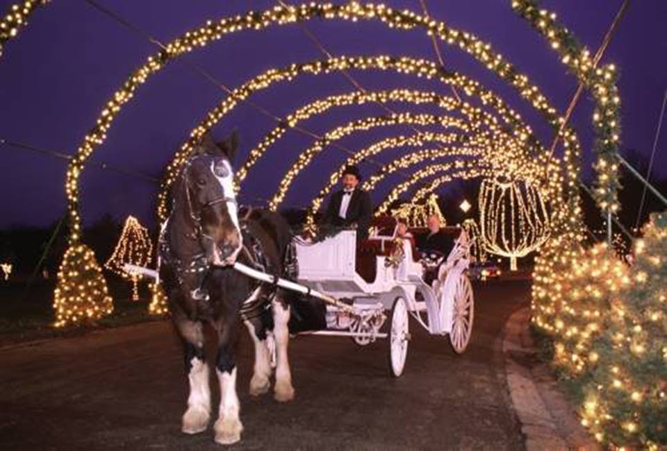 RIP King the Clydesdale Tilles Park Winter Wonderland Carriage Horse