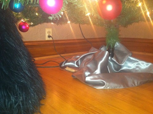 Can you spot Caper's gift?