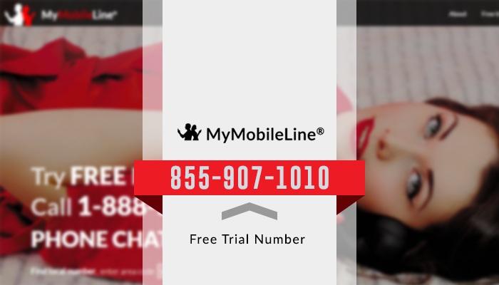 Phone chat lines tampa Tampa Chat