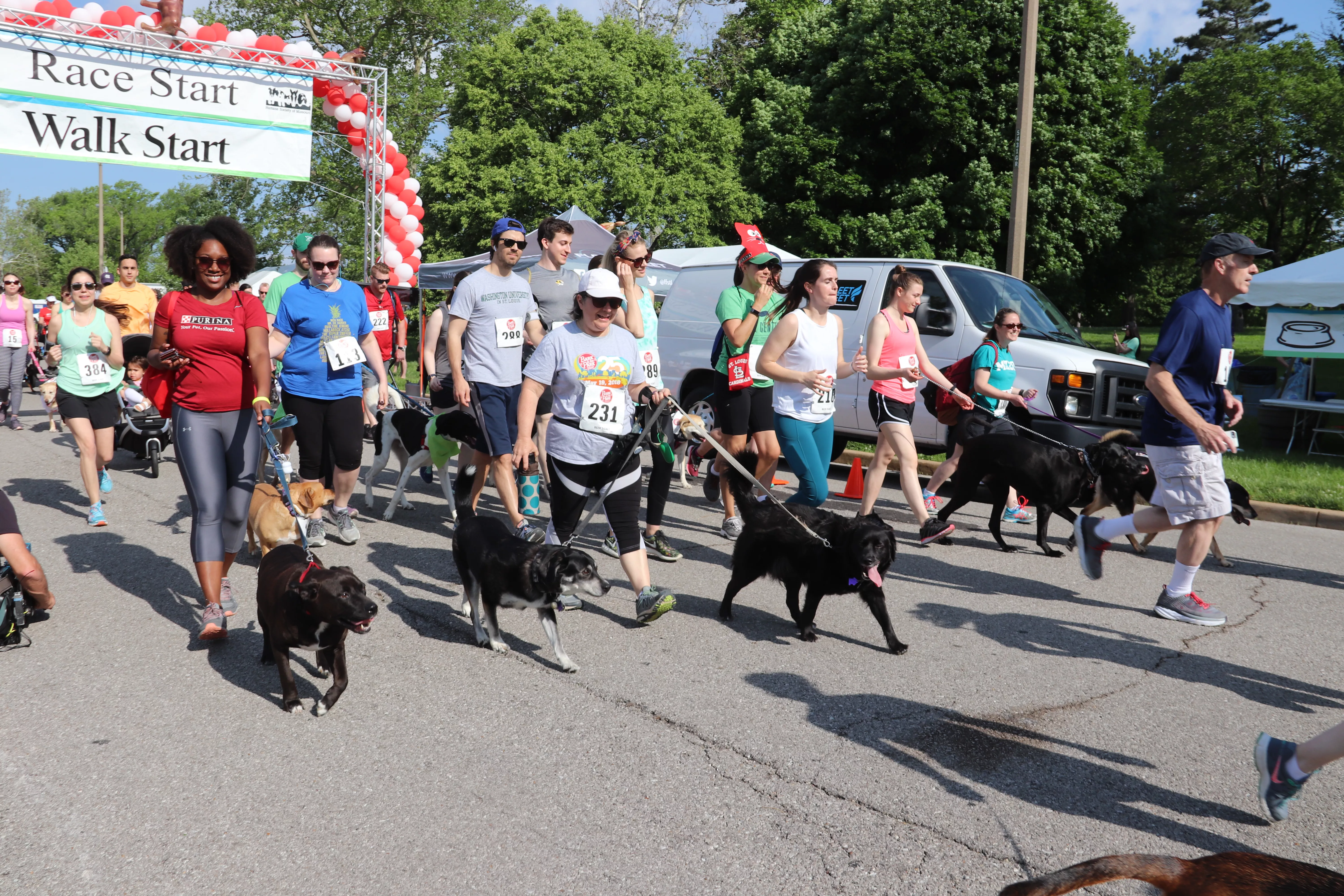 Dogs take center stage at Bark in the Park 