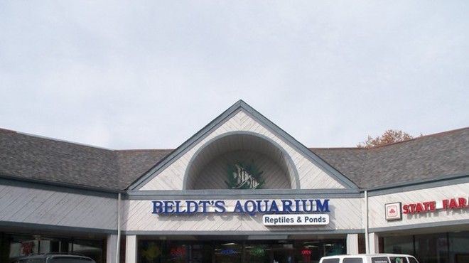 Beldt's Aquarium