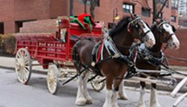 The Budweiser Clydesdales Aren't In This Year's Super Bowl Commercial. Here's Why.